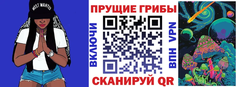 Купить  Гудермес  Галлюциногенные грибы прущие грибы 
